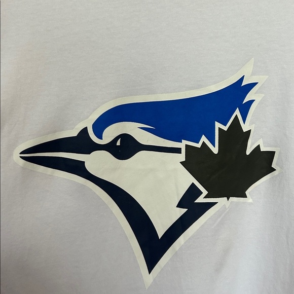 Harry Potter Hufflepuff x Toronto Blue Jays T Shirt Size XL Limited Edition - Picture 11 of 11